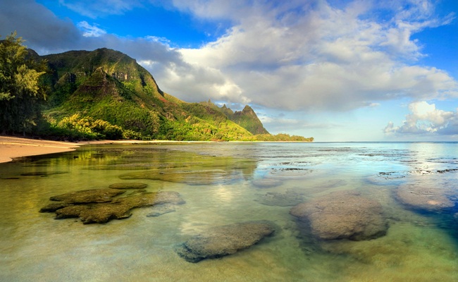 Foto alphacoders.com  - [Hawai] Bahasa Hawai Kan Membawamu Kembali